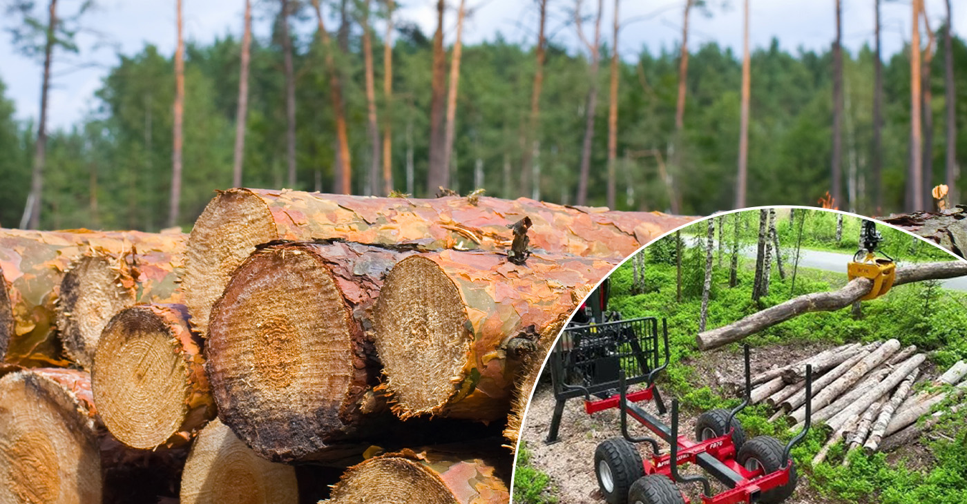 what is harvesting in Sweden's forestry landscape 2026